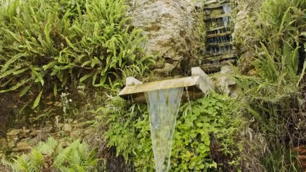 Egy gyönyörű kert belsejében egy városi területen vízfolyások, virágok és fák — Stock videók
