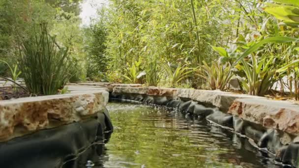 Ένας όμορφος κήπος μέσα σε μια αστική περιοχή με ρυάκια νερού, λουλούδια και δέντρα — Αρχείο Βίντεο