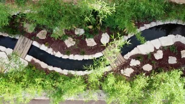城市地区一个美丽的花园，有溪流、花卉和树木 — 图库视频影像