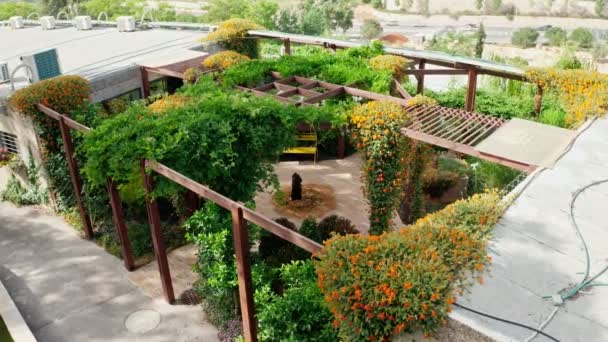 Un bellissimo giardino all'interno di un'area urbana con corsi d'acqua, fiori e alberi — Video Stock