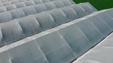 Yeşil bir vadideki büyük bir sera çiftliğinin hava görüntüleri.