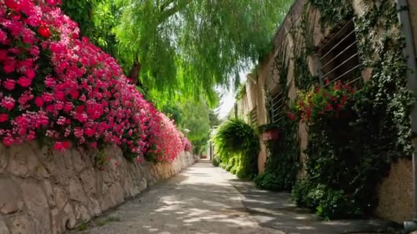 Un hermoso jardín dentro de una zona urbana con arroyos de agua, flores y árboles — Vídeo de stock