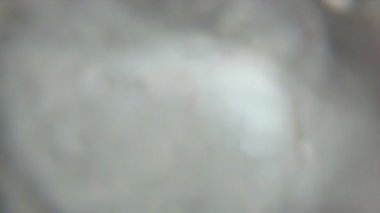 Tuvaletin içinden bir pov görüntüsü. Sifonu çekilmiş.