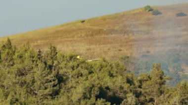 İtfaiye uçağı, tepelerdeki bir orman yangınına yangın söndürücü döktü.