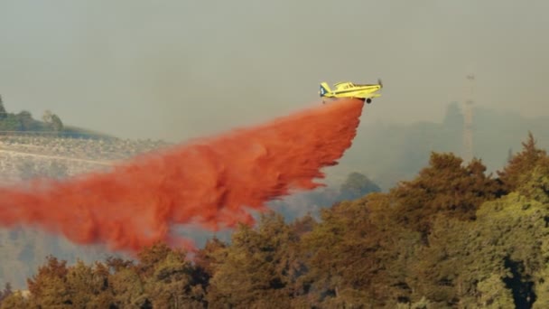 Пожарный самолет падает огнестойкий на лесной пожар в горах — стоковое видео