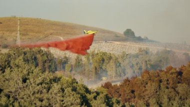 İtfaiye uçağı, tepelerdeki bir orman yangınına yangın söndürücü döktü.