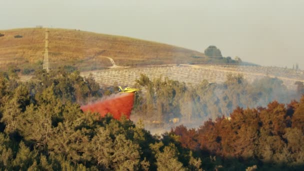 Avión de bomberos cae ignífugo en un incendio forestal en las colinas — Vídeo de stock