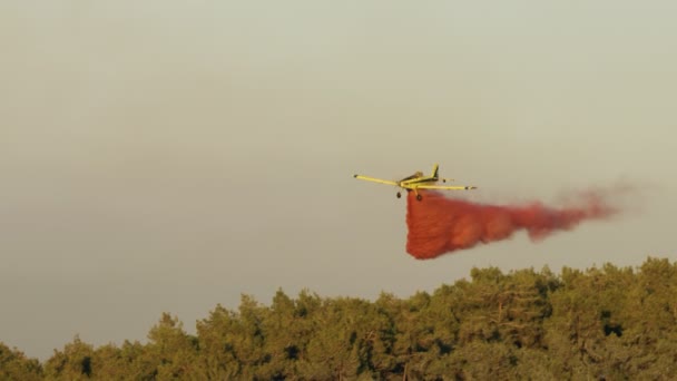 Avión de bomberos cae ignífugo en un incendio forestal en las colinas — Vídeos de Stock