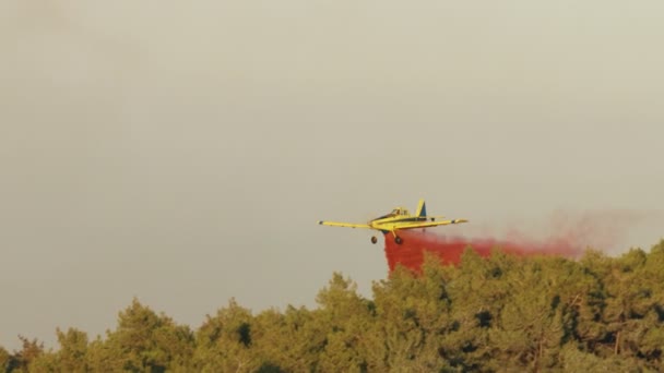 Samolot strażacki spada ognioodporny na pożar lasu na wzgórzach — Wideo stockowe
