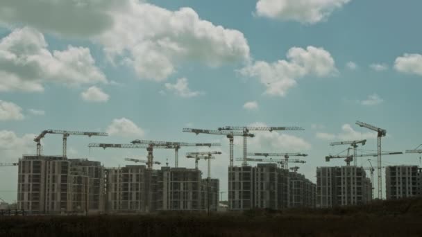 많은 두루미가 건물 위에서 일하고 있는 거대 한 건축 현장의 벽감 — 비디오