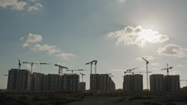 Timelapse de um grande canteiro de obras com muitos guindastes trabalhando sobre edifícios — Vídeo de Stock