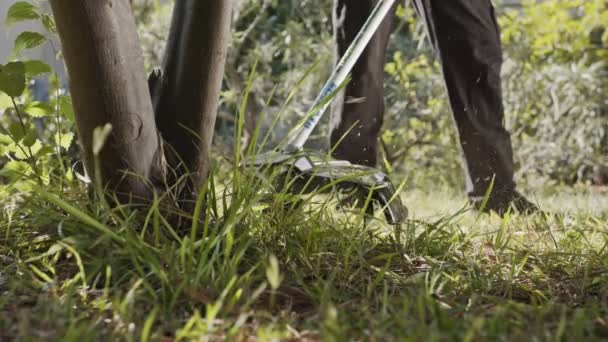 Movimento lento di un trimmer di corda che taglia erbacce ed erba in un giardino — Video Stock