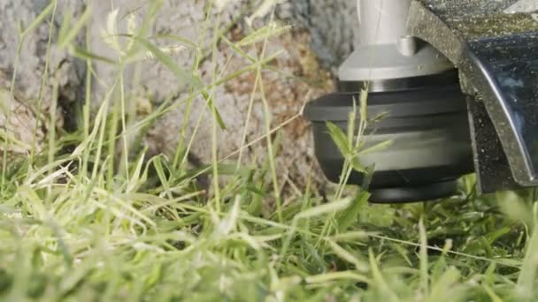 Lambat gerak dari trimmer string memotong gulma dan rumput di kebun — Stok Video