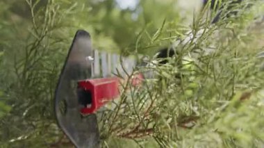 Çalıları kesen bir çit biçicinin yavaş çekimi. Yakın plan.