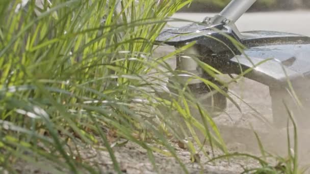 Movimiento lento de una podadora de cuerdas cortando malas hierbas y hierba en un jardín — Vídeo de stock