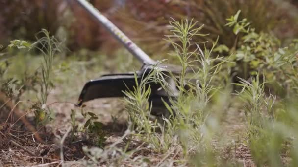 Movimento lento de um cortador de cordas cortando ervas daninhas e grama em um jardim — Vídeo de Stock