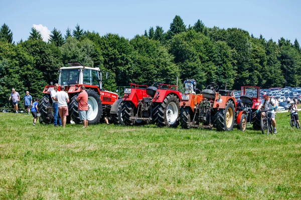 Ossiacher Tauern, Avusturya - 10 Ağustos 2025: Rindfleischfest turistlerin güneşli günün keyfini çıkardıkları canlı yeşil bir alanda sergilenen vintage traktörlere sahiptir