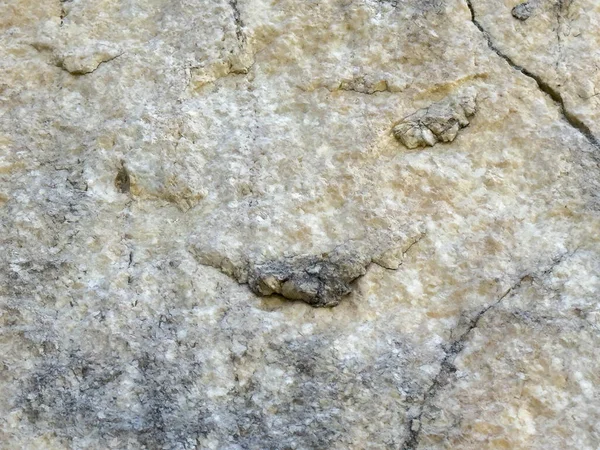 Yıpranmış kaya yüzeyinde fosilleşmiş sürüngen izleri..