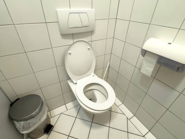 Temiz beyaz seramik tuvalet, kartonla kaplı banyo köşesinde kağıt dağıtıcısı var..