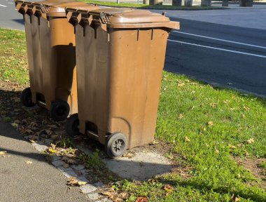 İki kahverengi çöp tenekesi kaldırımda yeşil çimenler ve düşmüş yapraklarla.