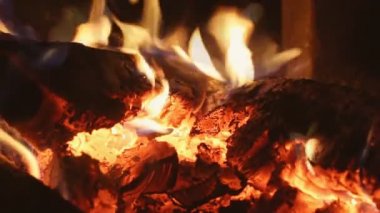 Şömine közler üzerinde yanan yangın ormanları