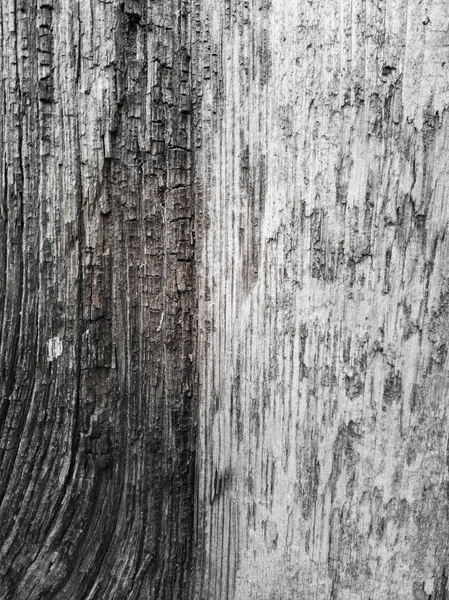 Sfondo di texture in legno — Foto Stock