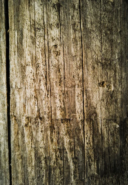 Background of wood texture in closeup — Stock Photo, Image