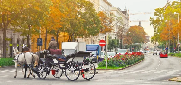 Famous traditional horse drawn fiaker carrige in the old historic center street of Vienna, Austria. Everyday life of evropean culture capital near Hofburg palace. Travel vacation in Vienna, Austria. — Stock Photo, Image