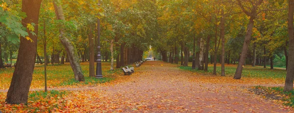 Őszi Park Alley út a város táj. Az emberek sétált az úton — Stock Fotó