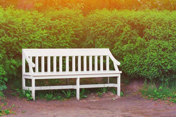 Banc en bois blanc dans un parc de la ville au printemps et arbres sur ba — Photo