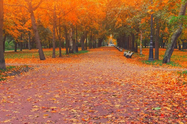 Őszi Park Alley út a város táj. Az emberek sétált az úton — Stock Fotó