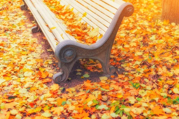 Spadły liście na drewnianej ławce w pustym parku jesiennym tle. Ławka, jesienny krajobraz, miejski park z żółtymi liśćmi, uliczny ławka przy jesienny aleja krajobraz. Koncepcja weekendu w parku miejskim. — Zdjęcie stockowe