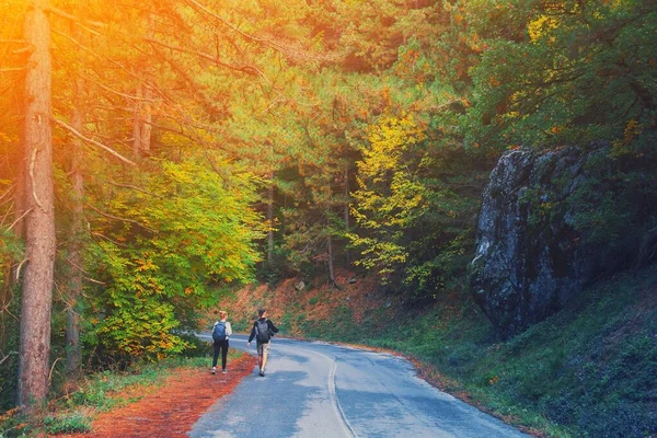 Vista trasera de pareja joven caminando por carretera a través de bosques con bac —  Fotos de Stock