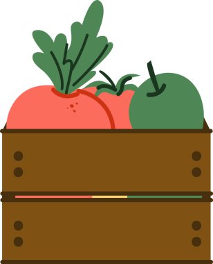 Düz bir tarzda taze sebzelerle dolu tahta bir sandık. Kutuda yapraklı yeşiller, domatesler ve basit bir çizimde bir elma var. Çizgi film vektör illüstrasyonu.