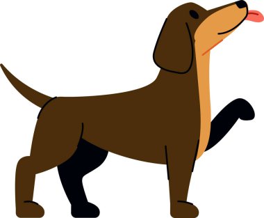 Bir daksund, çizgi film tarzında dili açık durur. Köpek bir patisini şakacı bir duruşta kaldırır. Çizgi film vektör illüstrasyonu.