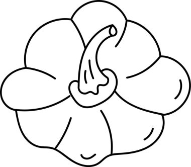 Yukarıdan izlenmiş bir balkabağı. Karalama sanatı tarzı ve kalın çizgileri var. Üst görünümde gövde ve bölümler karikatürsel bir şekilde gösteriliyor. Çizgi film vektör illüstrasyonu.