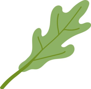 Tek bir organik yaprak, düzgün kıvrımlar ve temiz sanat tarzında ayrıntılı damarlar. Doğal biçim ve dokuları gösteren izole edilmiş bir yaprak çizimi. Çizgi film vektör illüstrasyonu.