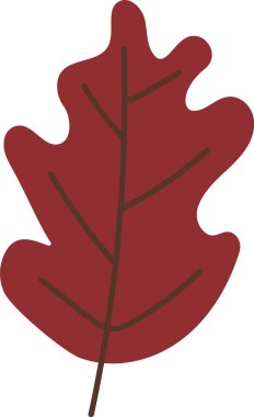 Tek bir meşe yaprağı, pürüzsüz kenarları ve şekillendirilmiş bir çizimde görünen damarları var. Yaprak, cesur bir taslak ve basit bir damar deseni ile tasvir edilir. Çizgi film vektör illüstrasyonu.