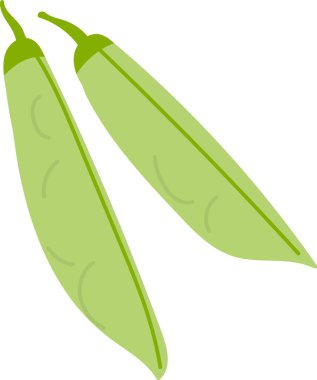 Düz bir şekilde çizilmiş iki uzun bezelye kabuğu. Düz kapsüller basit çizgiler ve kıvrımlarla tasvir edilir. Çizgi film vektör illüstrasyonu