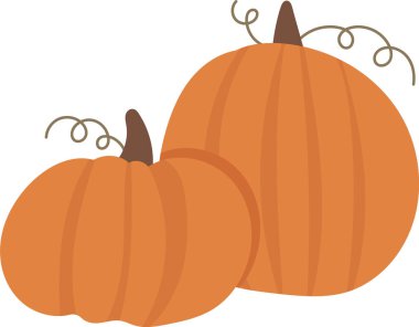 Kıvırcık saplı iki balkabağı düz bir stilde. Yuvarlak şekiller ve basit çizgiler su kabaklarını betimler. Çizgi film vektör illüstrasyonu.