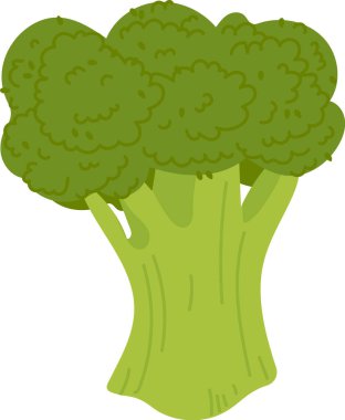 Detaylı çiçekli brokoli ve çizgi film tarzında kalın saplı. Sebze pürüzsüz bir doku ve yuvarlak şekillerle tasvir edilir. Çizgi film vektör illüstrasyonu.