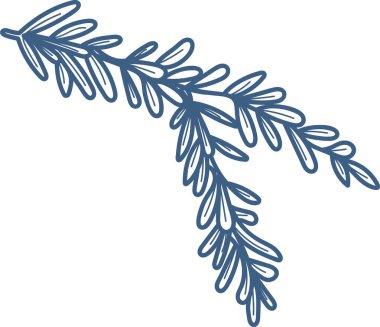 Elle çizilmiş karmaşık yaprakları olan bir botanik dalı. Resimde uzun yaprak şekilli ayrıntılı bir dal tasvir ediliyor. Çizgi film vektör illüstrasyonu.