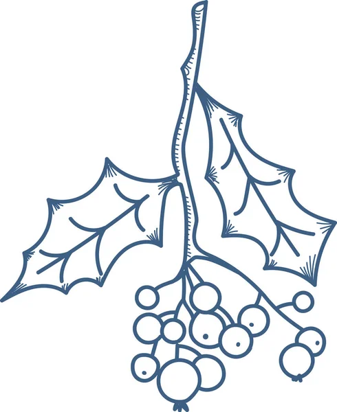 Dikenli yaprakları ve el yapımı meyveleri olan Holly Dalı. Resimde ayrıntılı yapraklı ve yuvarlak meyveli bir dal tasvir ediliyor. Çizgi film vektör illüstrasyonu.