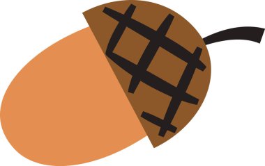 Kapağında geometrik bir şekil olan bir meşe palamudu. Ceviz basit şekiller ve kalın çizgiler içerir. Çizgi film vektör illüstrasyonu.