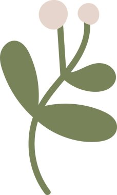 Yuvarlak yaprakları ve düz, soyut bir tarzda iki tomurcuğu olan stilize bir bitki. Basitleştirilmiş yeşillik ve küresel tomurcuklar modern bir botanik görünüm yaratır. Çizgi film vektör illüstrasyonu.