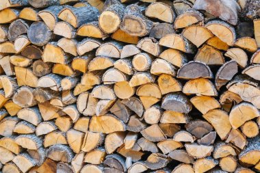 Evin yakınına odun yığdım. Kış için yakacak odun hazırlamak, yakacak odun yığınları, şöminenin sıcaklığı. Yüksek kalite fotoğraf