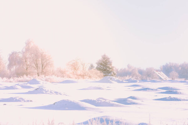 Зима, снег, жесткий свет, жизнь за городом
