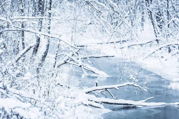 冬天, 雪, 坚硬的光, 森林, 河 — 图库照片