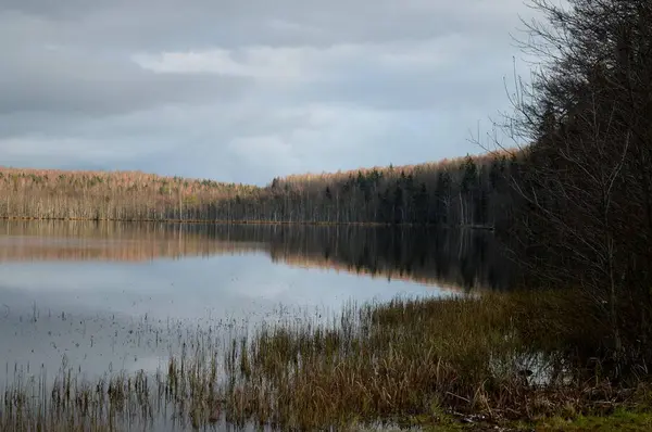 Vackra Sjön Landskapet Slutet Höst Början Vintern Vitryssland — Stockfoto