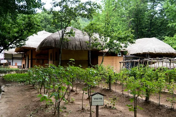 Una Foto Única Aldea Coreana Casa Pueblo Casa Tradicional Coreana — Foto de Stock